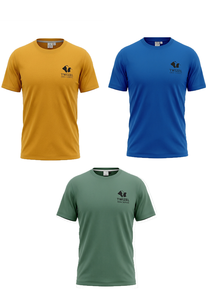 Twizel Area School PE Tee